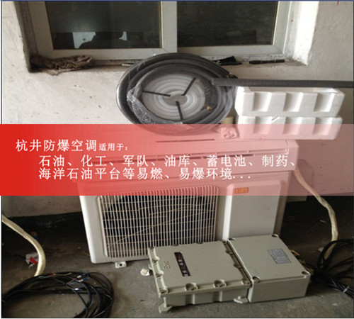 機房防爆空調(diào)機案例圖