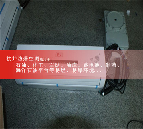 機房防爆空調(diào)機案例圖
