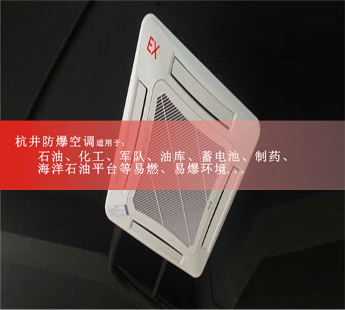 1p制造業(yè)防爆空調案例圖