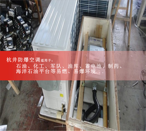 1p化學(xué)品變頻防爆空調(diào)案例圖
